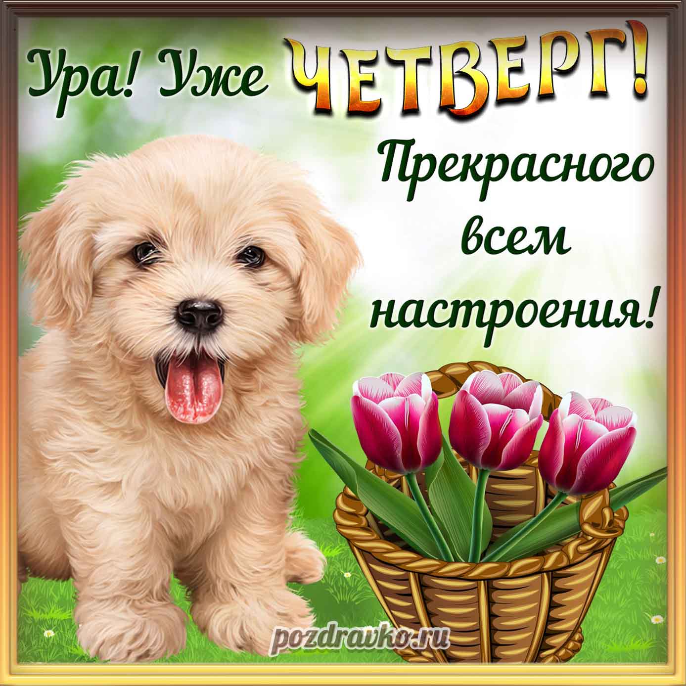 Открытка - с четвергом и прекрасного настроения. Скачать бесплатно или отправить картинку.