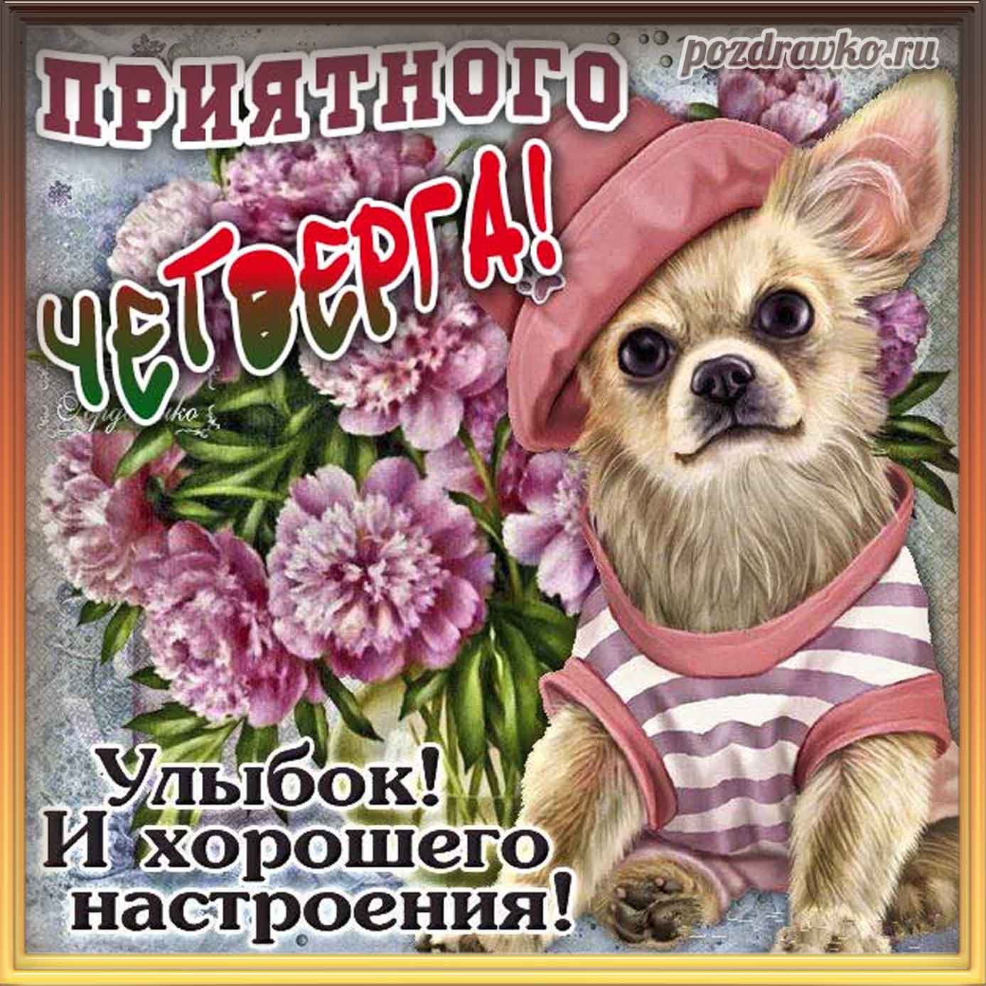 Открытка - приятного четверга с собачкой и букетом цветов. Скачать бесплатно или отправить картинку.