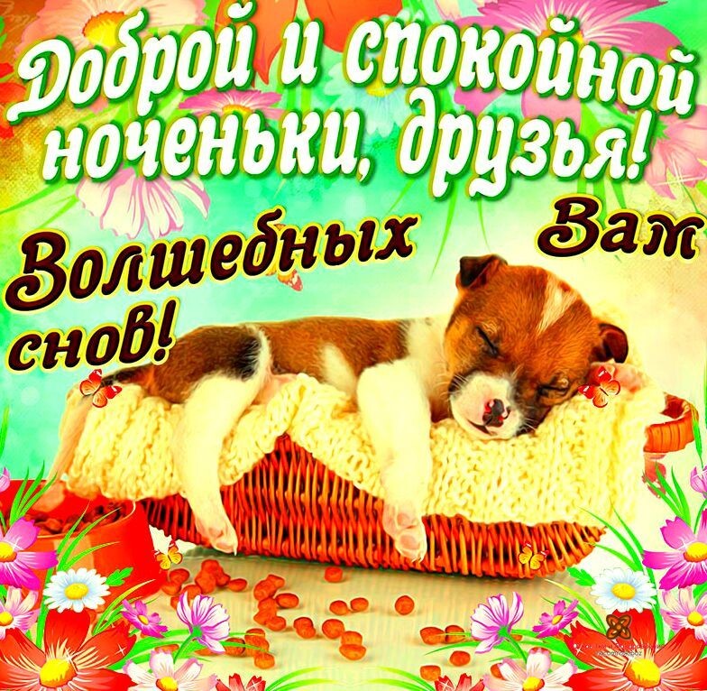 Открытка - доброй и спокойной ночи волшебных снов. Скачать бесплатно или отправить картинку.