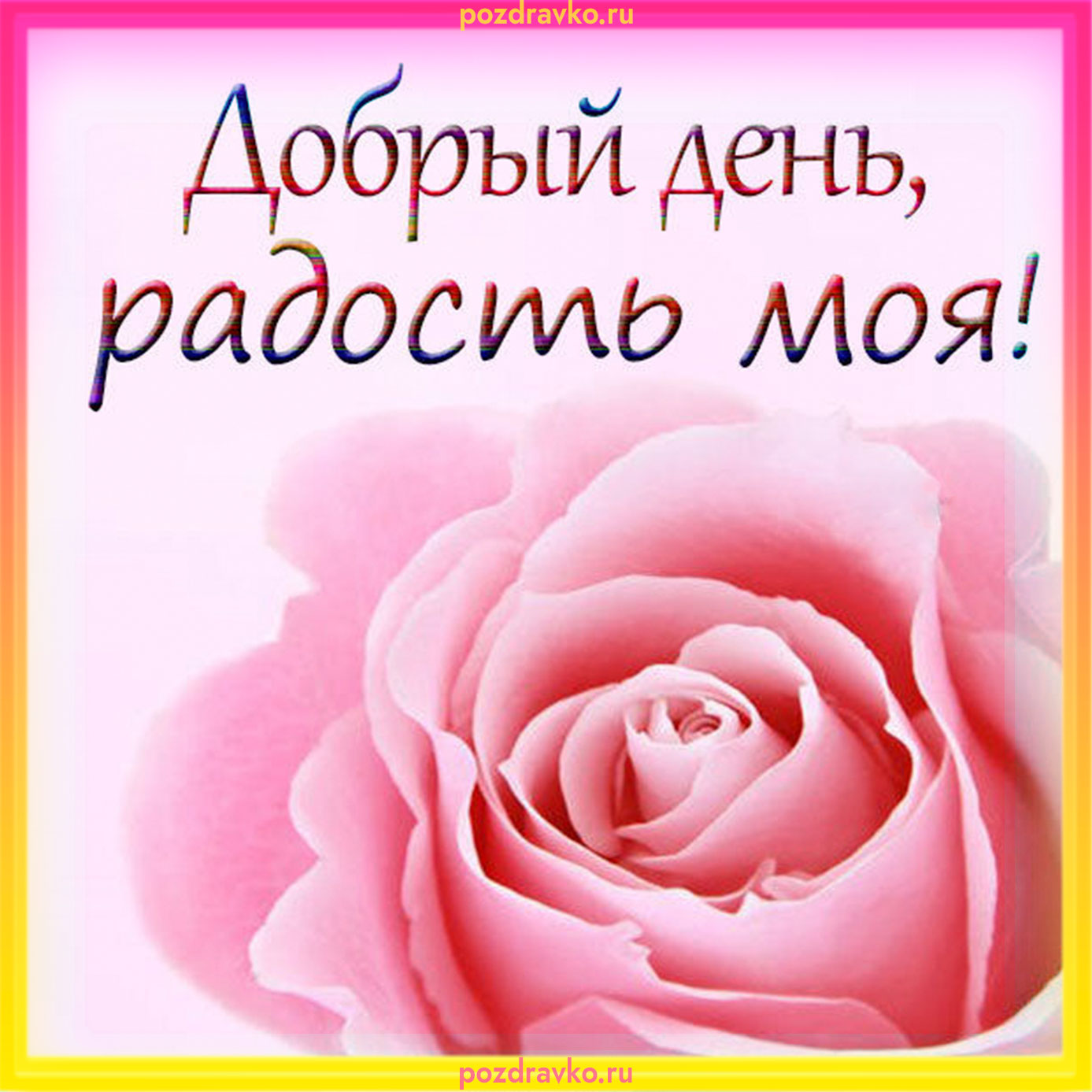 Открытка добрый день радость моя. Скачать бесплатно или отправить картинку.