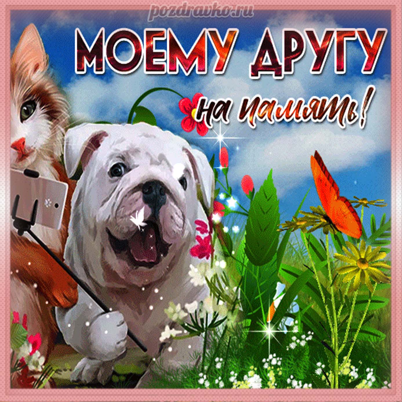 Открытка - моему другу на память с собачкой и котенком. Скачать бесплатно или отправить картинку.