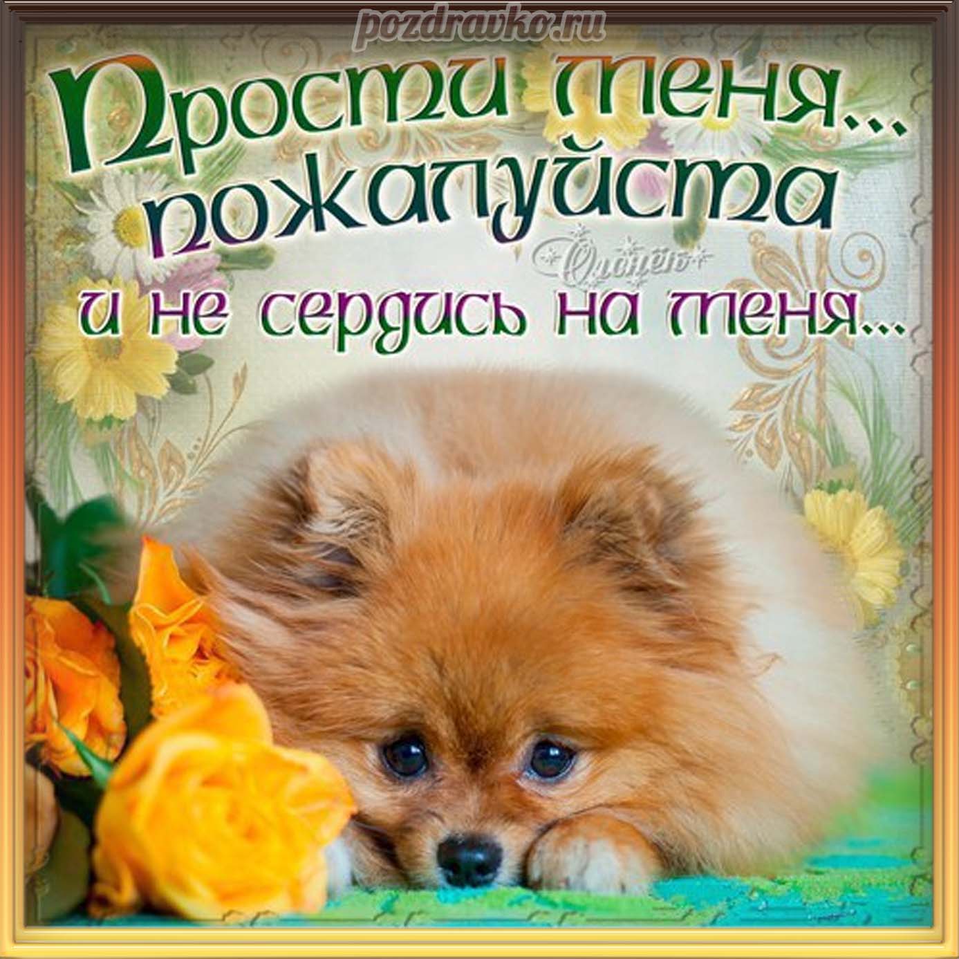 Открытка - картинка прости меня пожалуйста и не сердись на меня. Скачать бесплатно или отправить картинку.