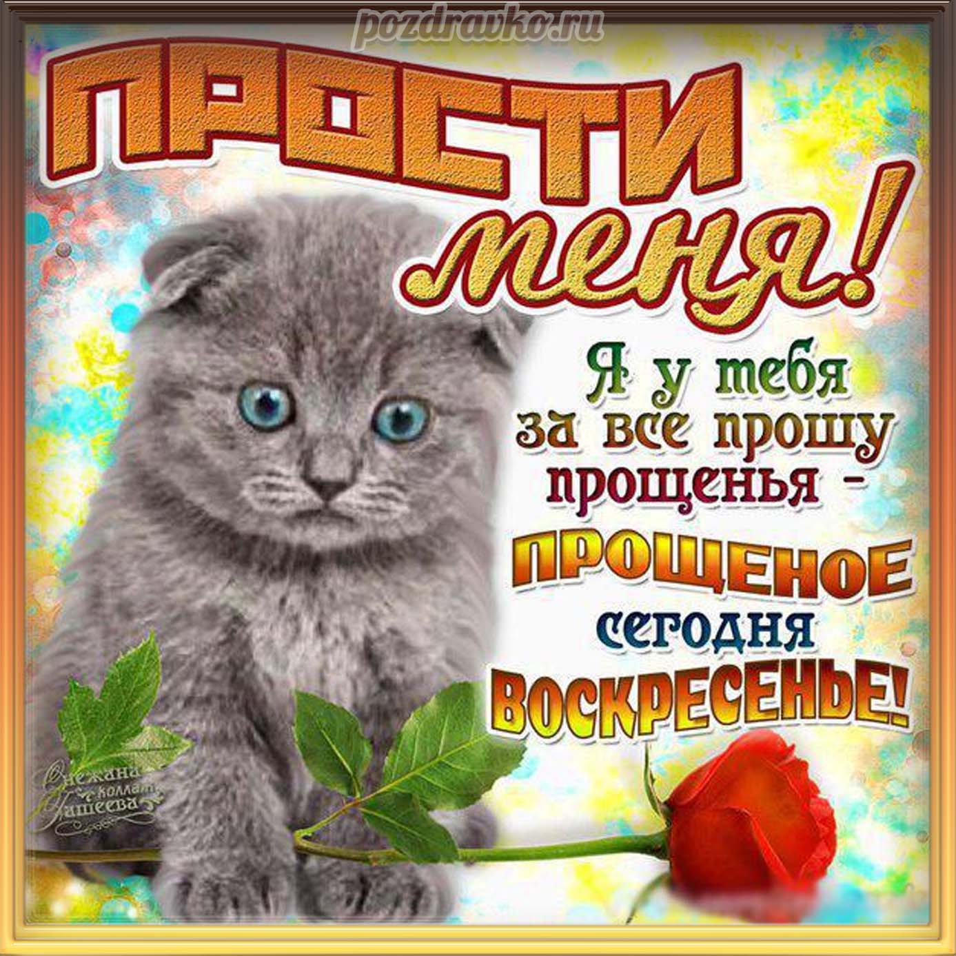 Открытка - прости меня в прощеное воскресенье. Скачать бесплатно или отправить картинку.