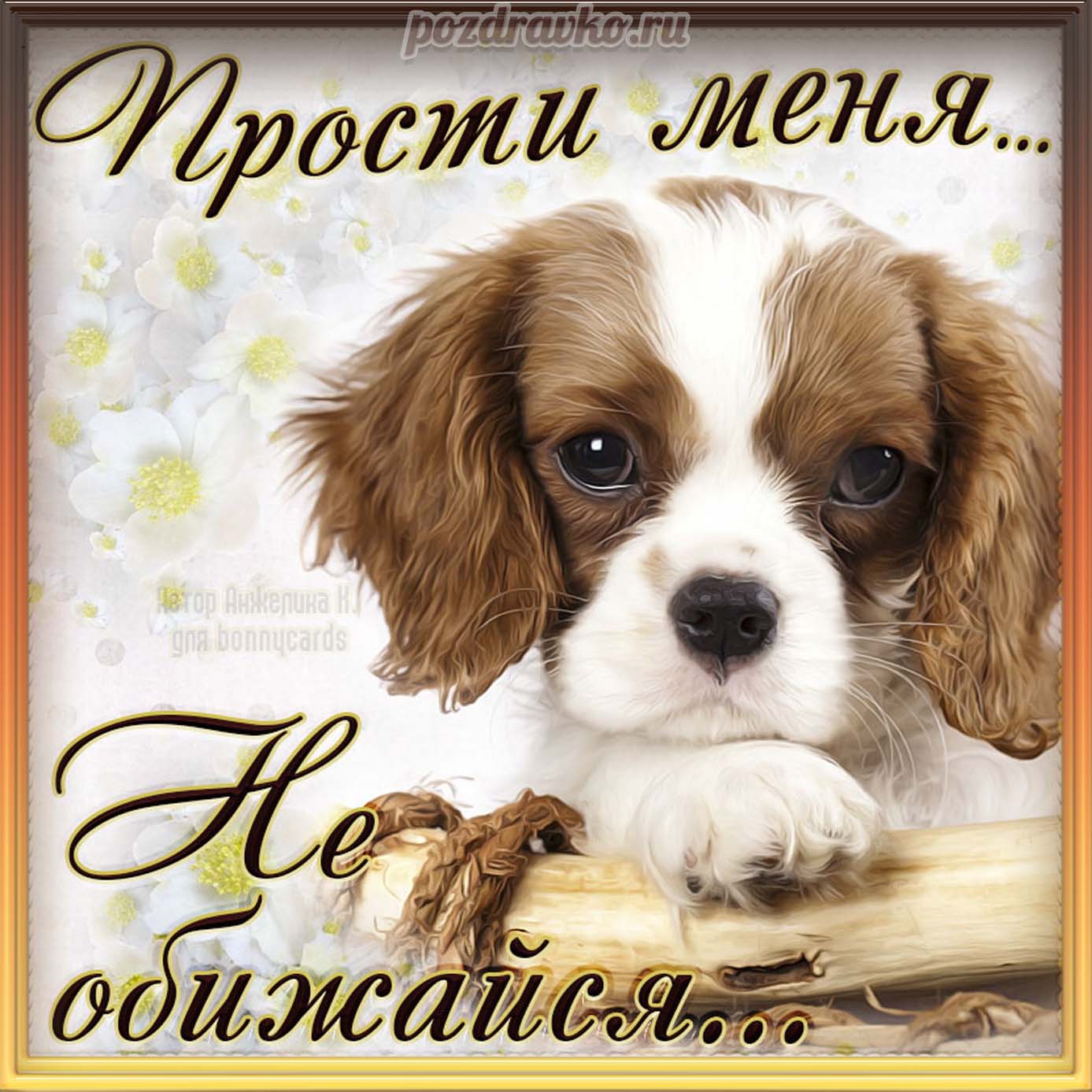 Открытка - прости меня не обижайся с милой собачкой. Скачать бесплатно или отправить картинку.