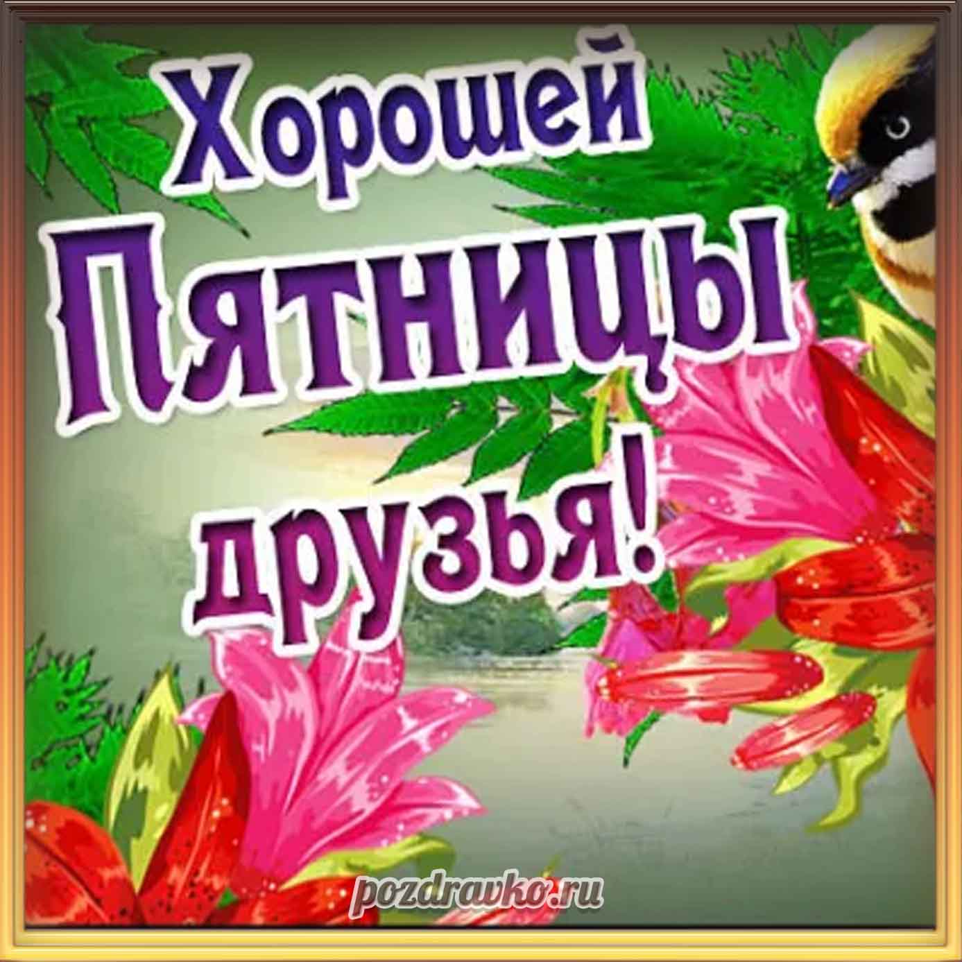 Открытка - хорошей пятницы друзья. Скачать бесплатно или отправить картинку.
