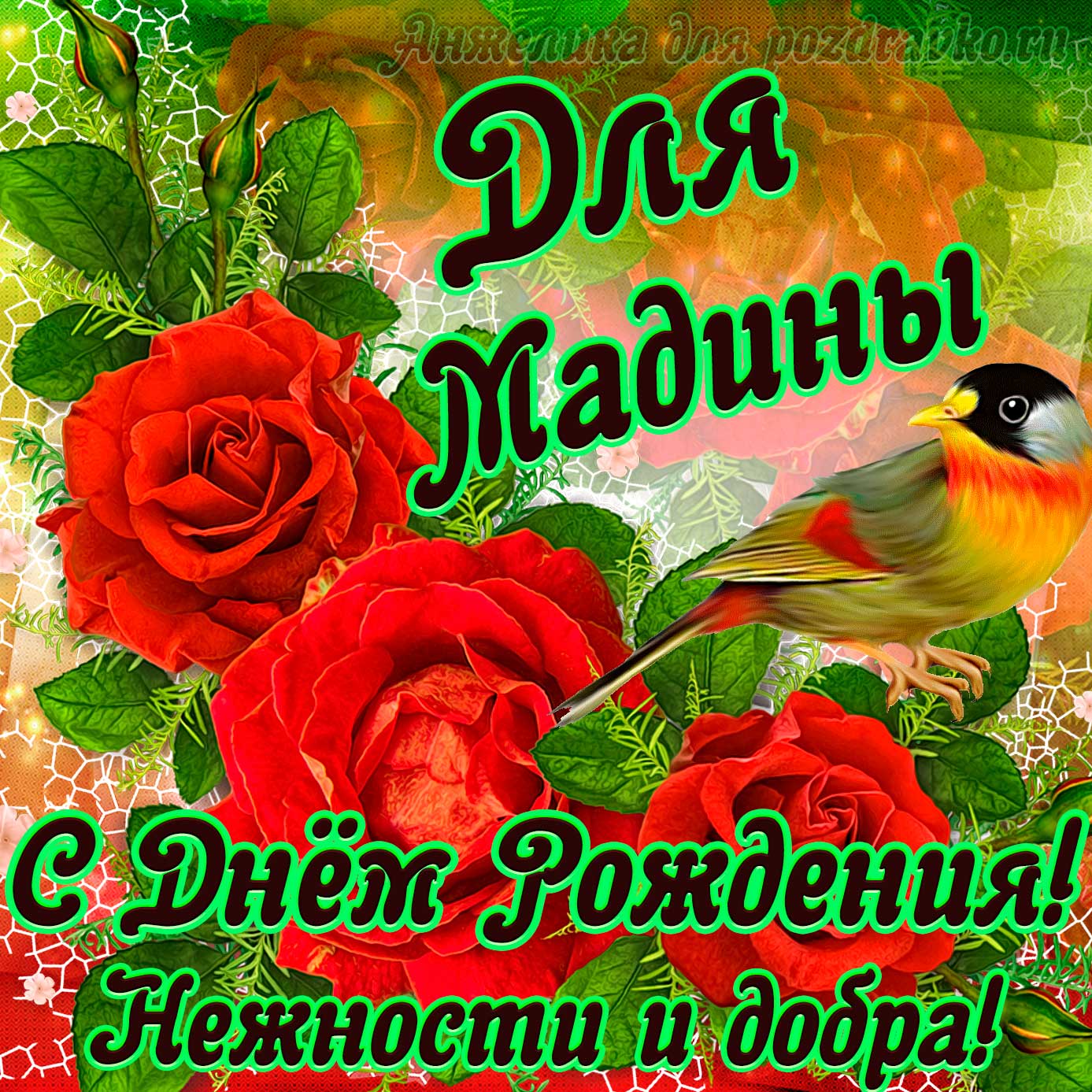 Открытка - для Мадины с Днем рождения с пожеланием нежности и добра. Скачать бесплатно или отправить картинку.