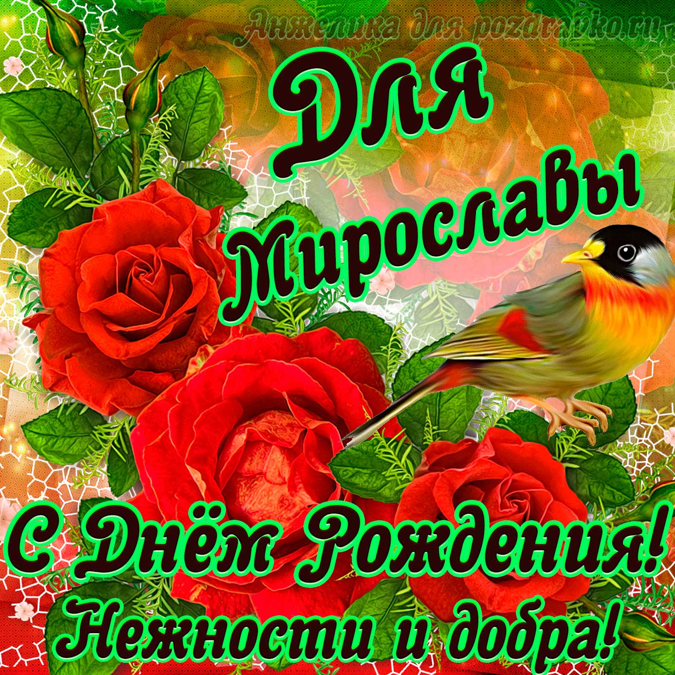 Открытка - для Мирославы с Днем рождения с пожеланием нежности и добра. Скачать бесплатно или отправить картинку.