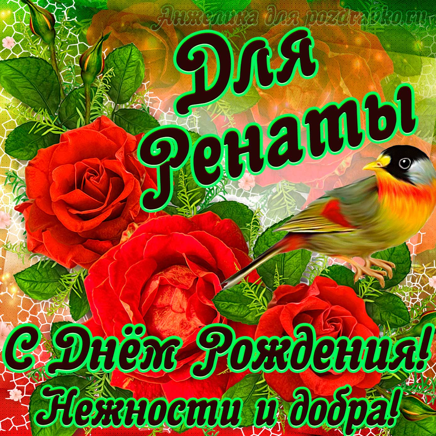Открытка - для Ренаты с Днем рождения с пожеланием нежности и добра. Скачать бесплатно или отправить картинку.