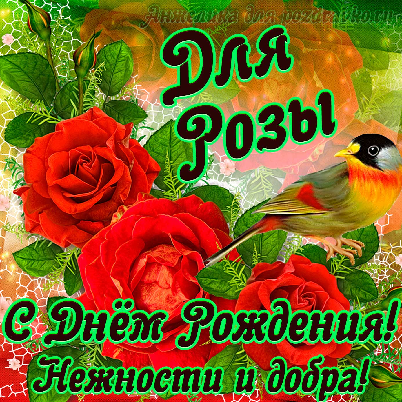 Открытка - для Розы с Днем рождения с пожеланием нежности и добра. Скачать бесплатно или отправить картинку.