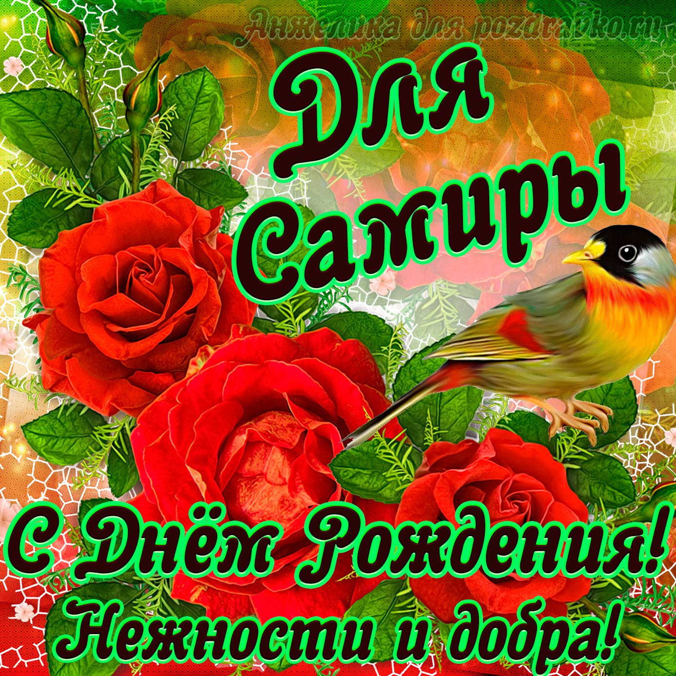 Открытка - для Самиры с Днем рождения с пожеланием нежности и добра. Скачать бесплатно или отправить картинку.