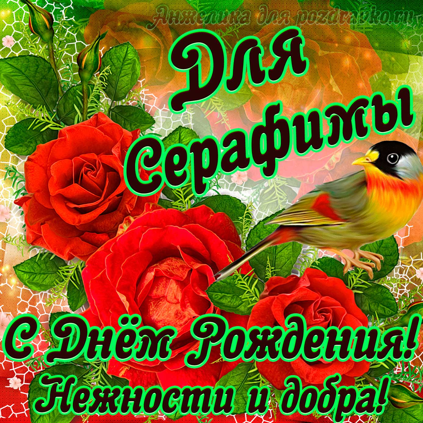 Открытка - для Серафимы с Днем рождения с пожеланием нежности и добра. Скачать бесплатно или отправить картинку.