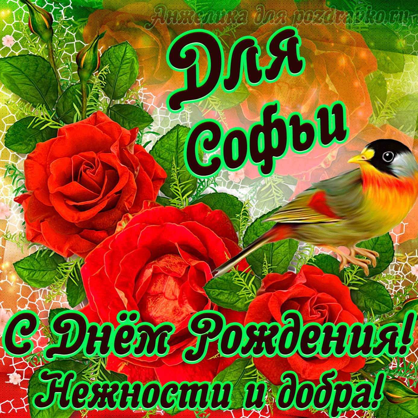 Открытка - для Софьи с Днем рождения с пожеланием нежности и добра. Скачать бесплатно или отправить картинку.