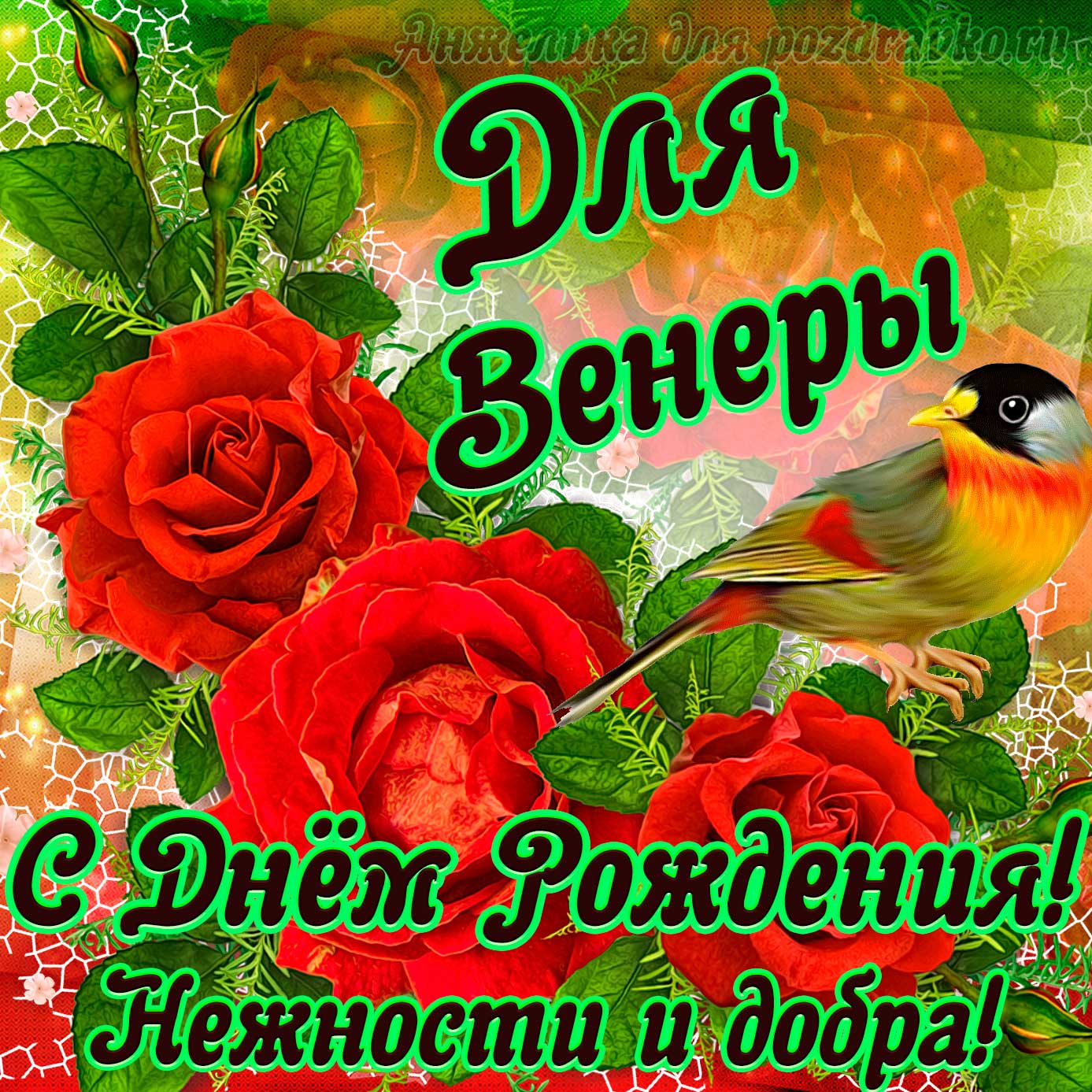 Открытка - для Венеры с Днем рождения с пожеланием нежности и добра. Скачать бесплатно или отправить картинку.