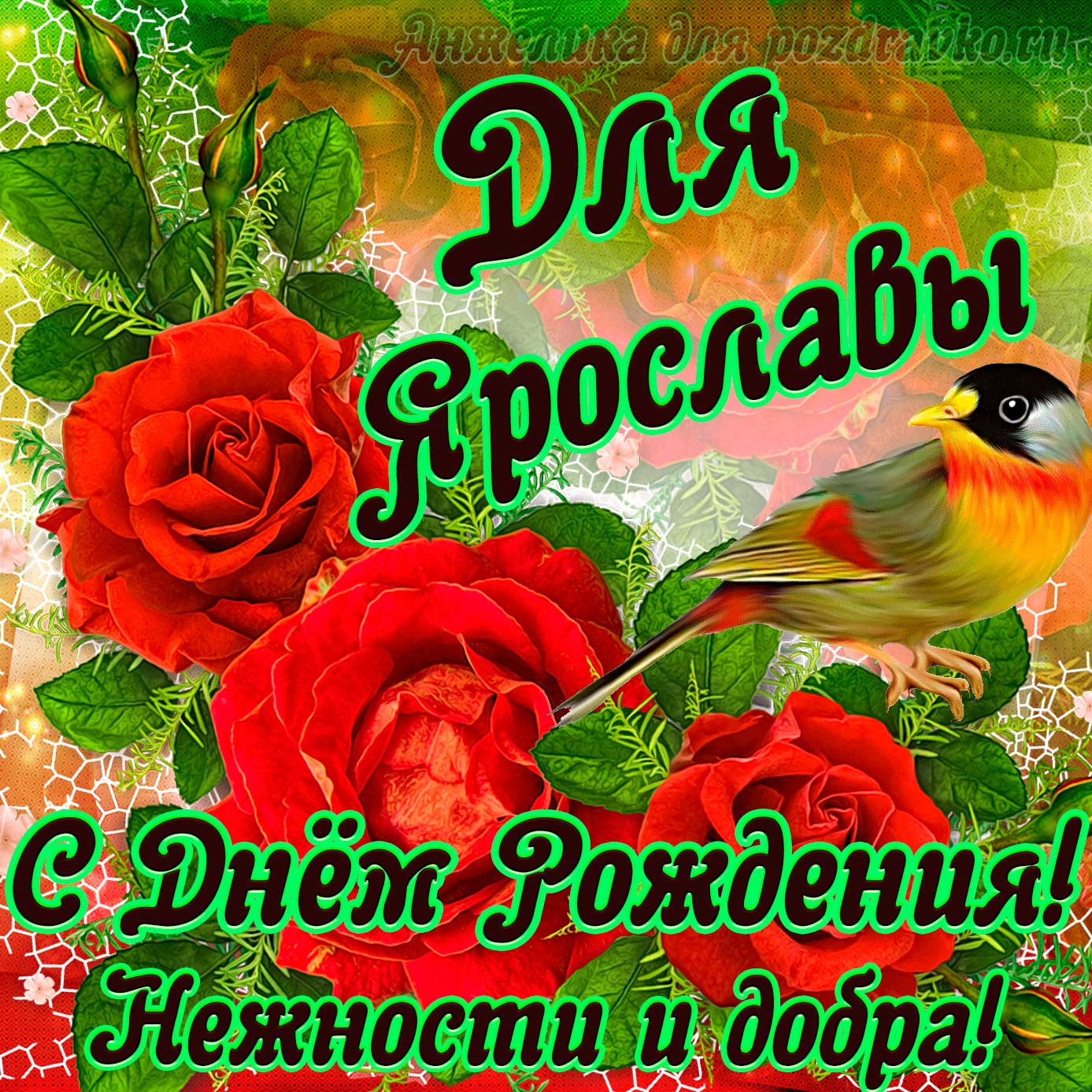 Открытка - для Ярославы с Днем рождения с пожеланием нежности и добра. Скачать бесплатно или отправить картинку.