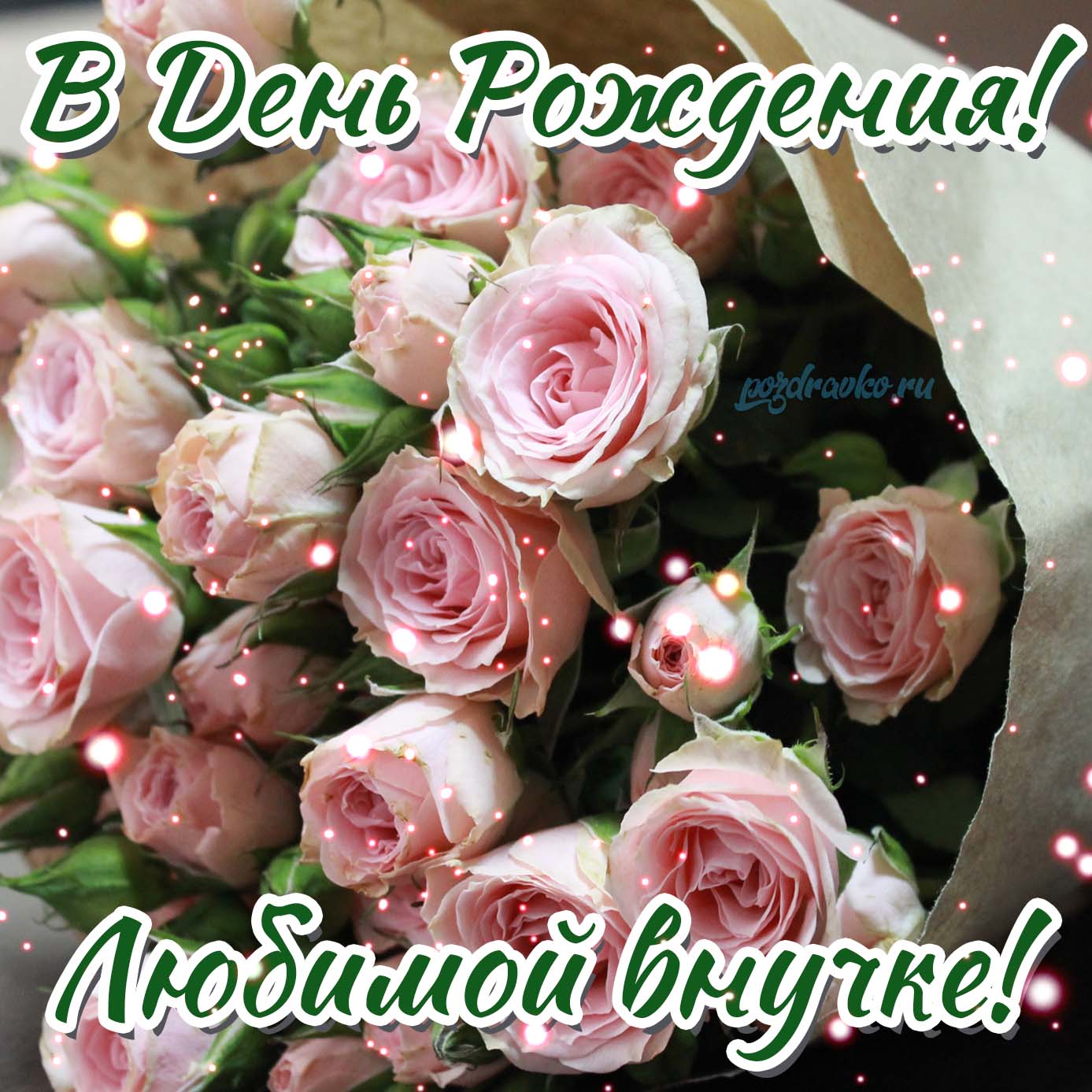 Открытка - на день рождения любимой внучке с букетом роз. Скачать бесплатно или отправить картинку.