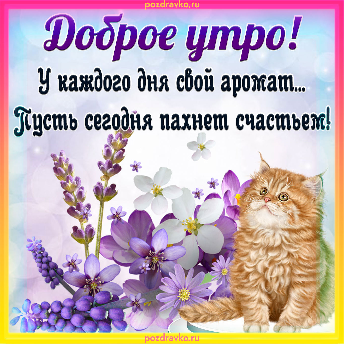 Открытка - Картинка доброе утро с котиком и пожеланием. Скачать бесплатно или отправить картинку.