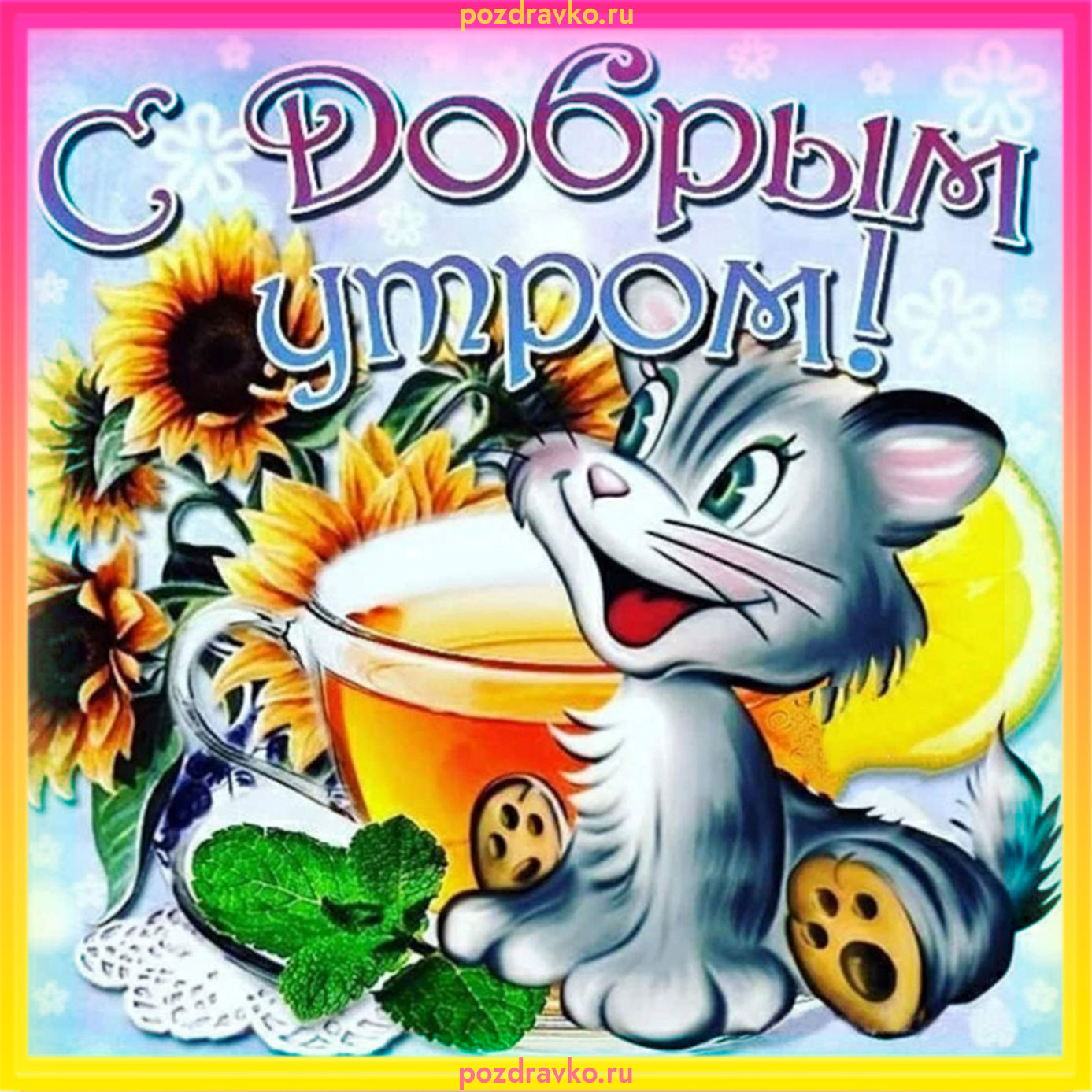Открытка с добрым утром и красивым котиком. Скачать бесплатно или отправить картинку.