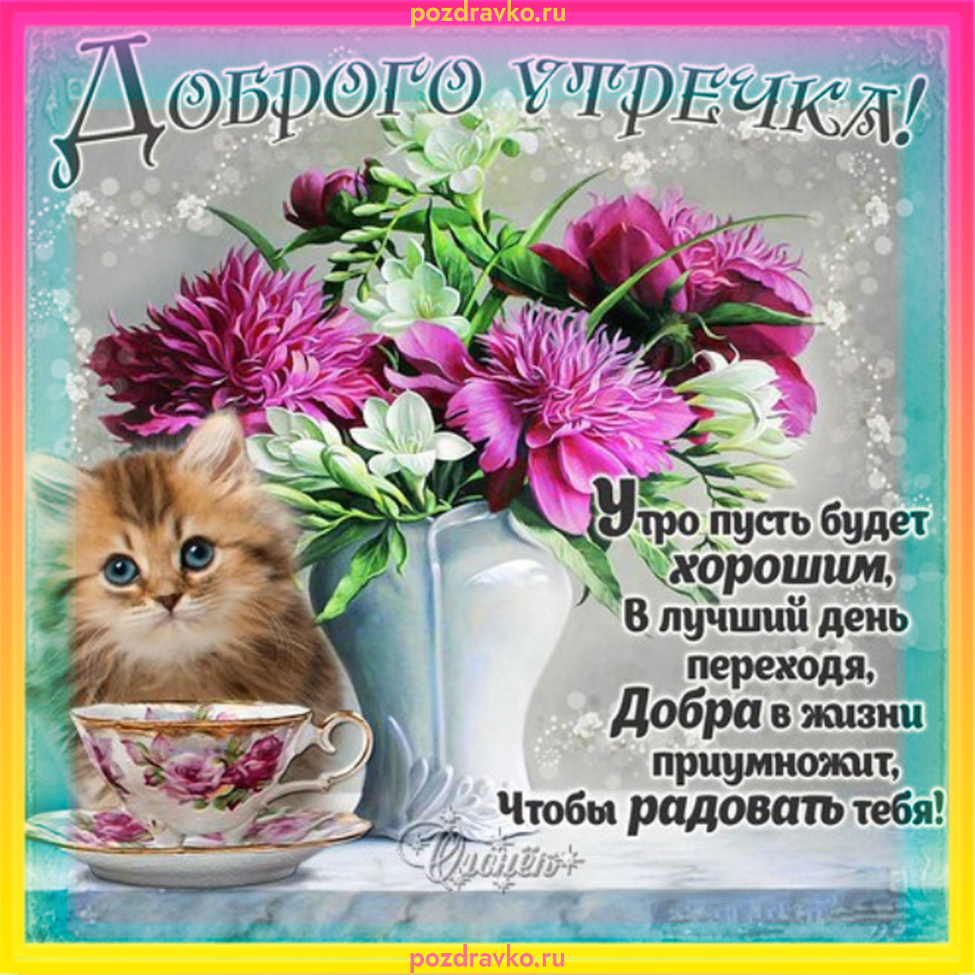 Открытка доброго утречка с котиком и цветами. Скачать бесплатно или отправить картинку.