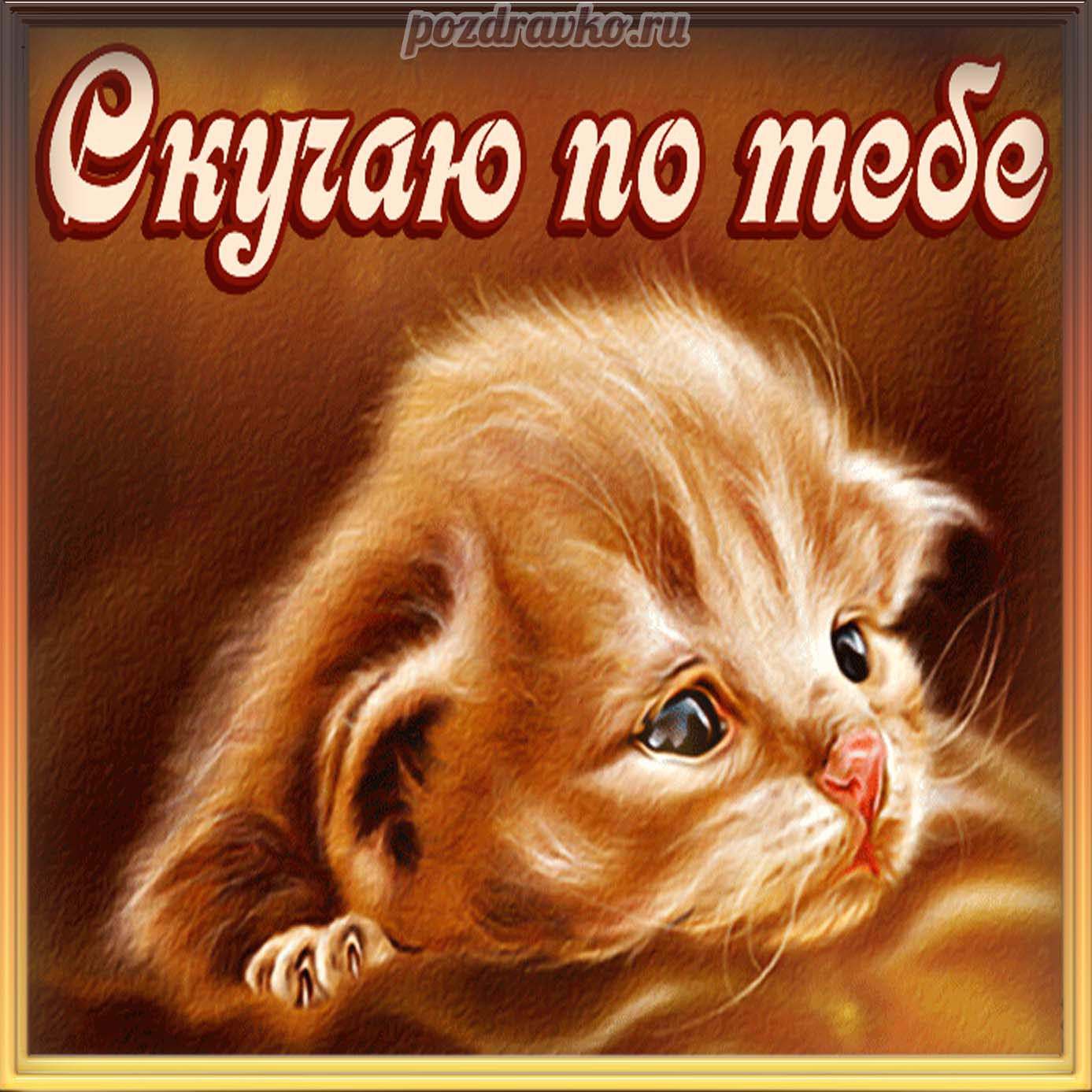 Открытка - картинка скучаю по тебе с грустным котиком. Скачать бесплатно или отправить картинку.