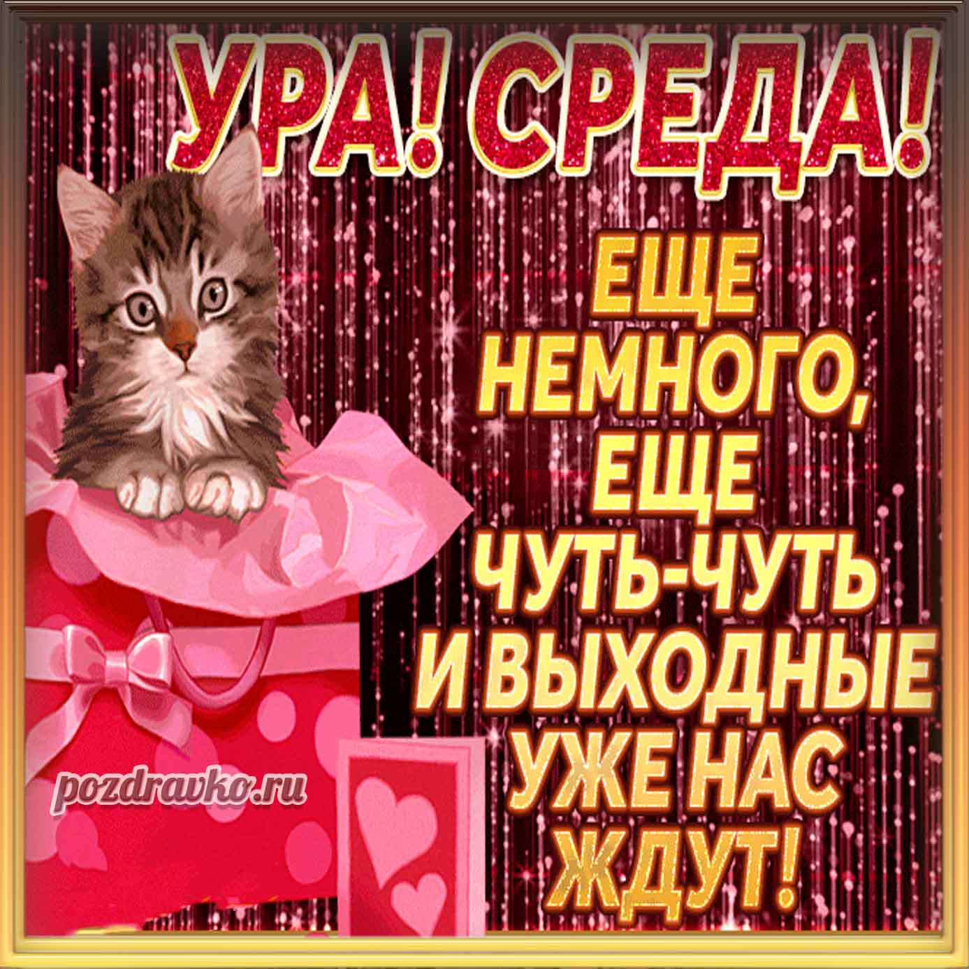 Открытка - на среду с котиком и пожеланием. Скачать бесплатно или отправить картинку.