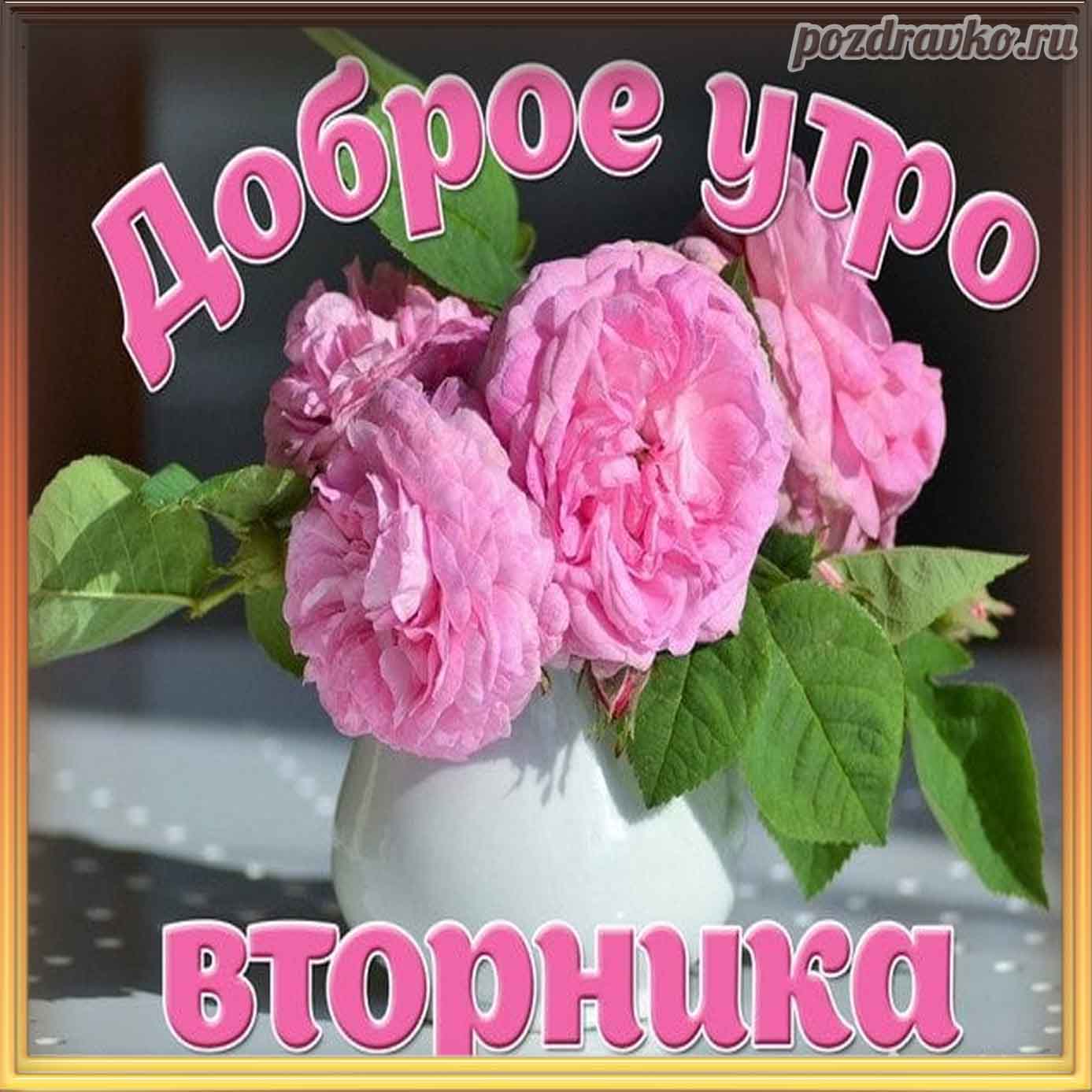 Открытка - доброе утро вторника. Скачать бесплатно или отправить картинку.