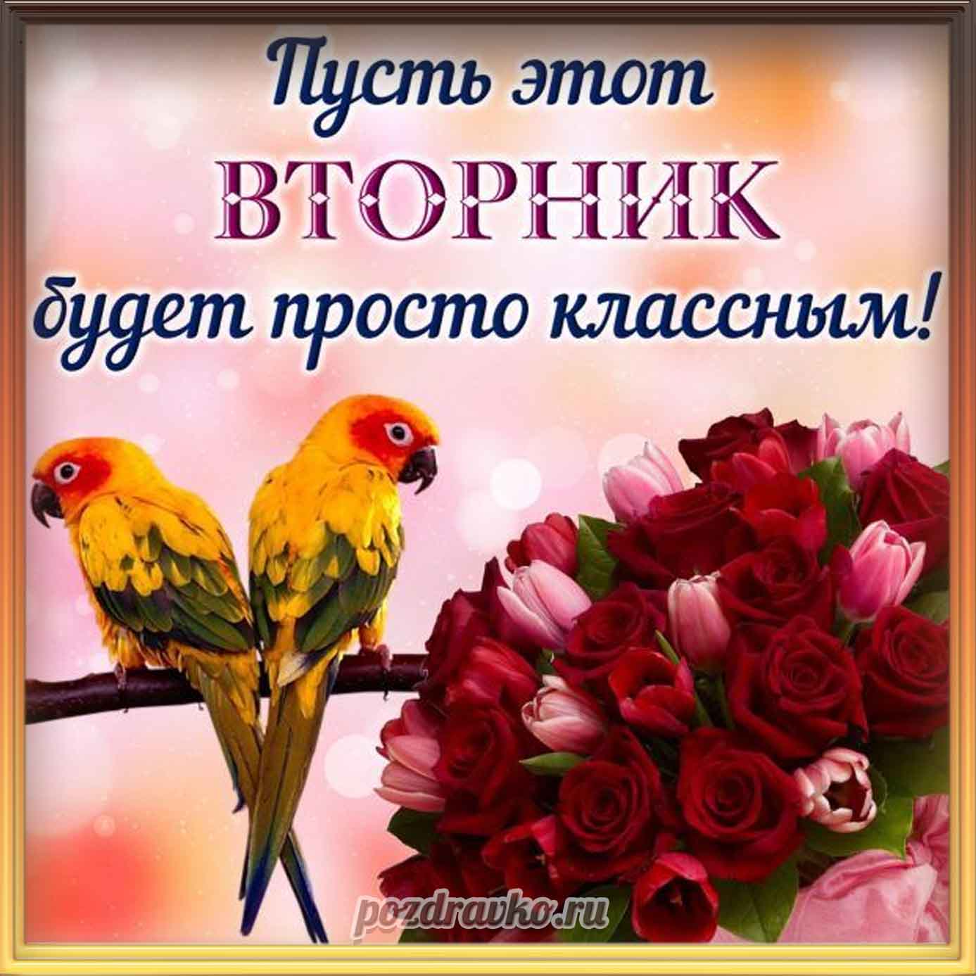 Открытка - картинка пусть этот вторник будет классным. Скачать бесплатно или отправить картинку.