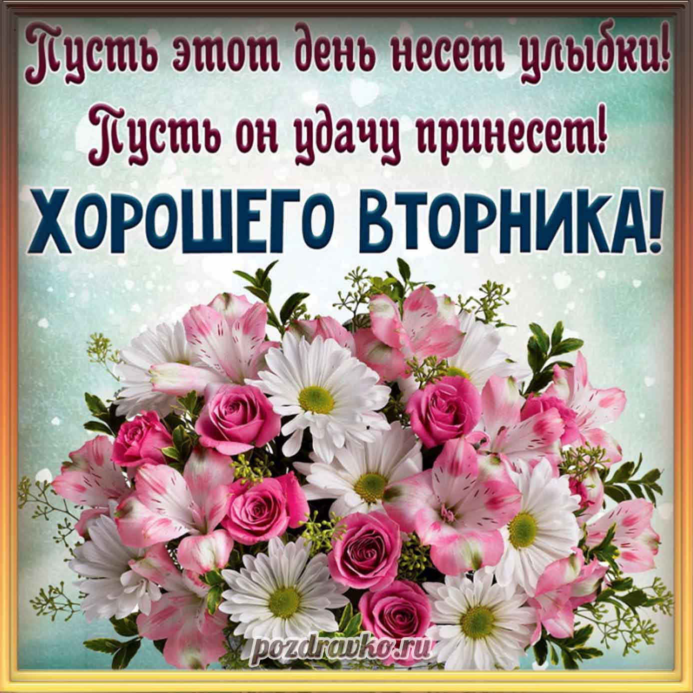 Открытка - картинка хорошего вторника с цветами и пожеланием. Скачать бесплатно или отправить картинку.