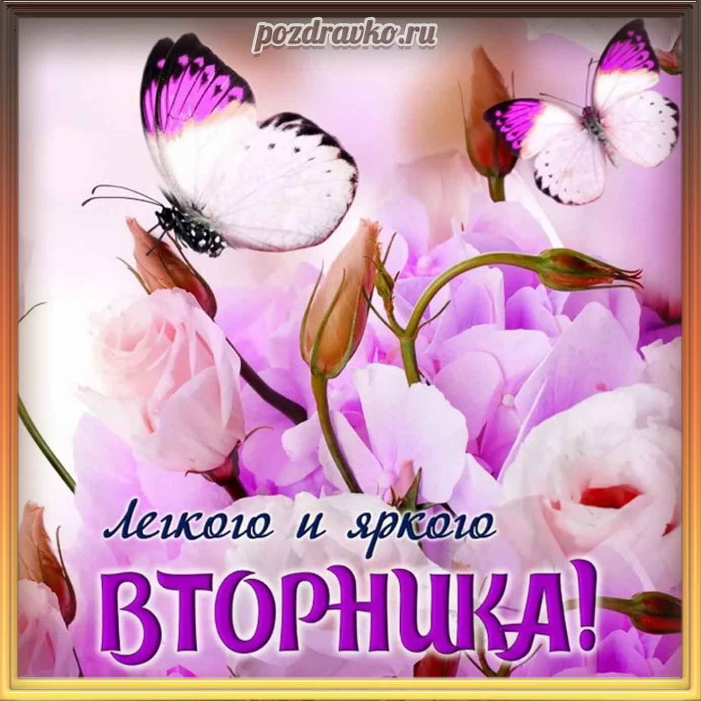 Открытка - легкого и яркого вторника. Скачать бесплатно или отправить картинку.