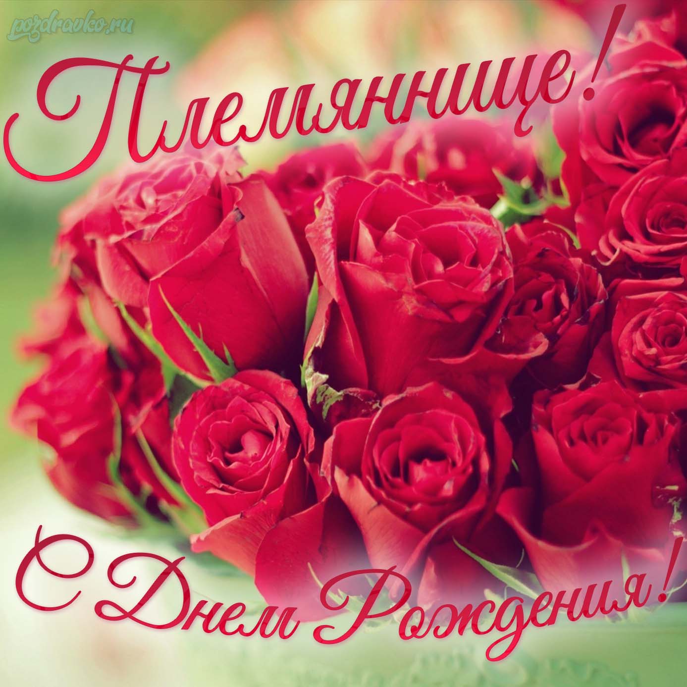 Открытка - с Днем Рождения племяннице с красивым букетом красных роз. Скачать бесплатно или отправить картинку.