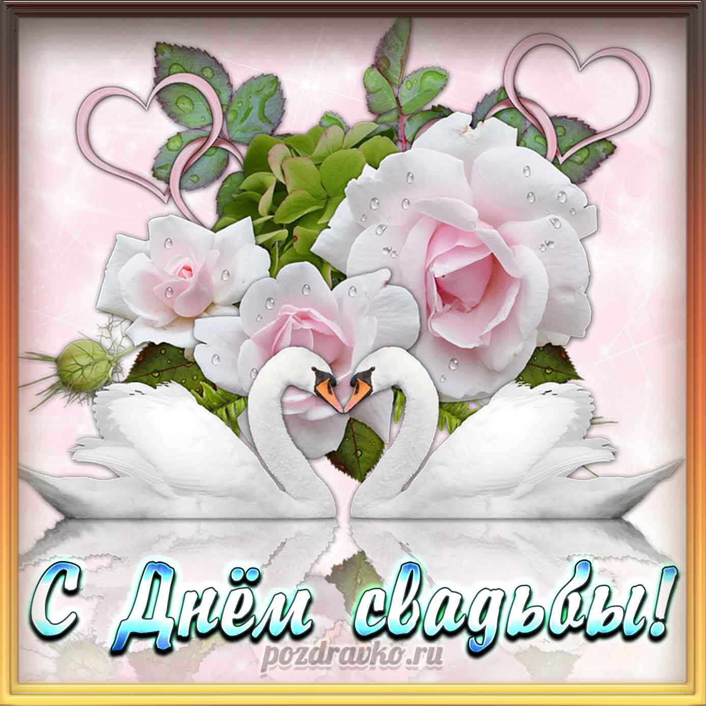 Открытка - с Днем Свадьбы с белыми лебедями и белыми розами. Скачать бесплатно или отправить картинку.