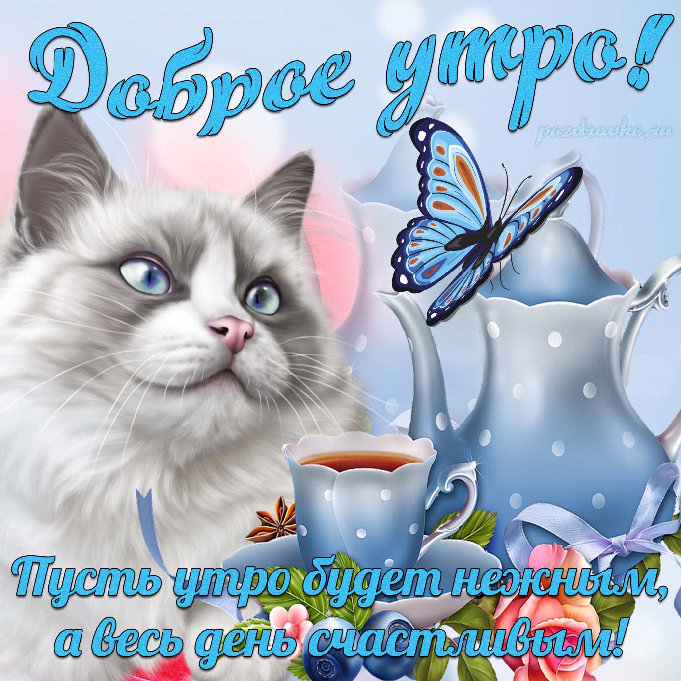 Открытка - Доброе Утро с котиком бабочкой и пожеланием. Скачать бесплатно или отправить картинку.