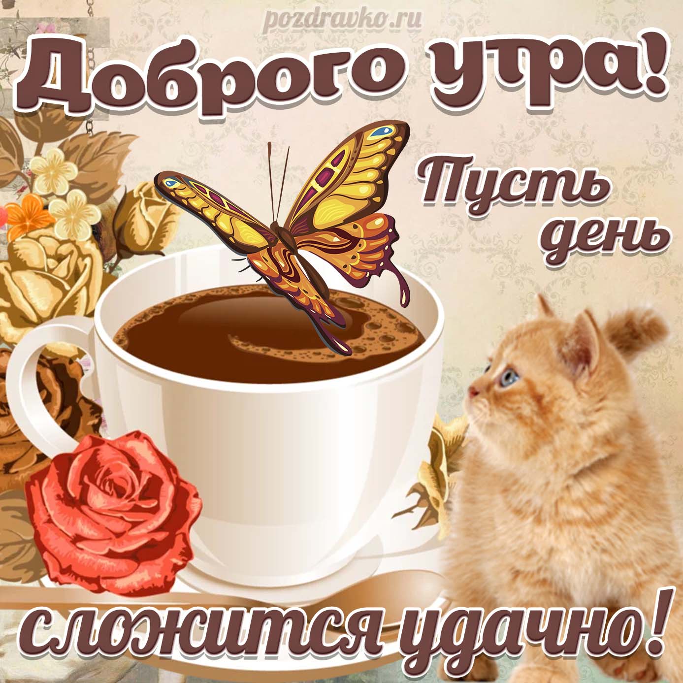 Открытка - Доброе Утро и пусть день сложится удачно с котиком и чашкой кофе. Скачать бесплатно или отправить картинку.