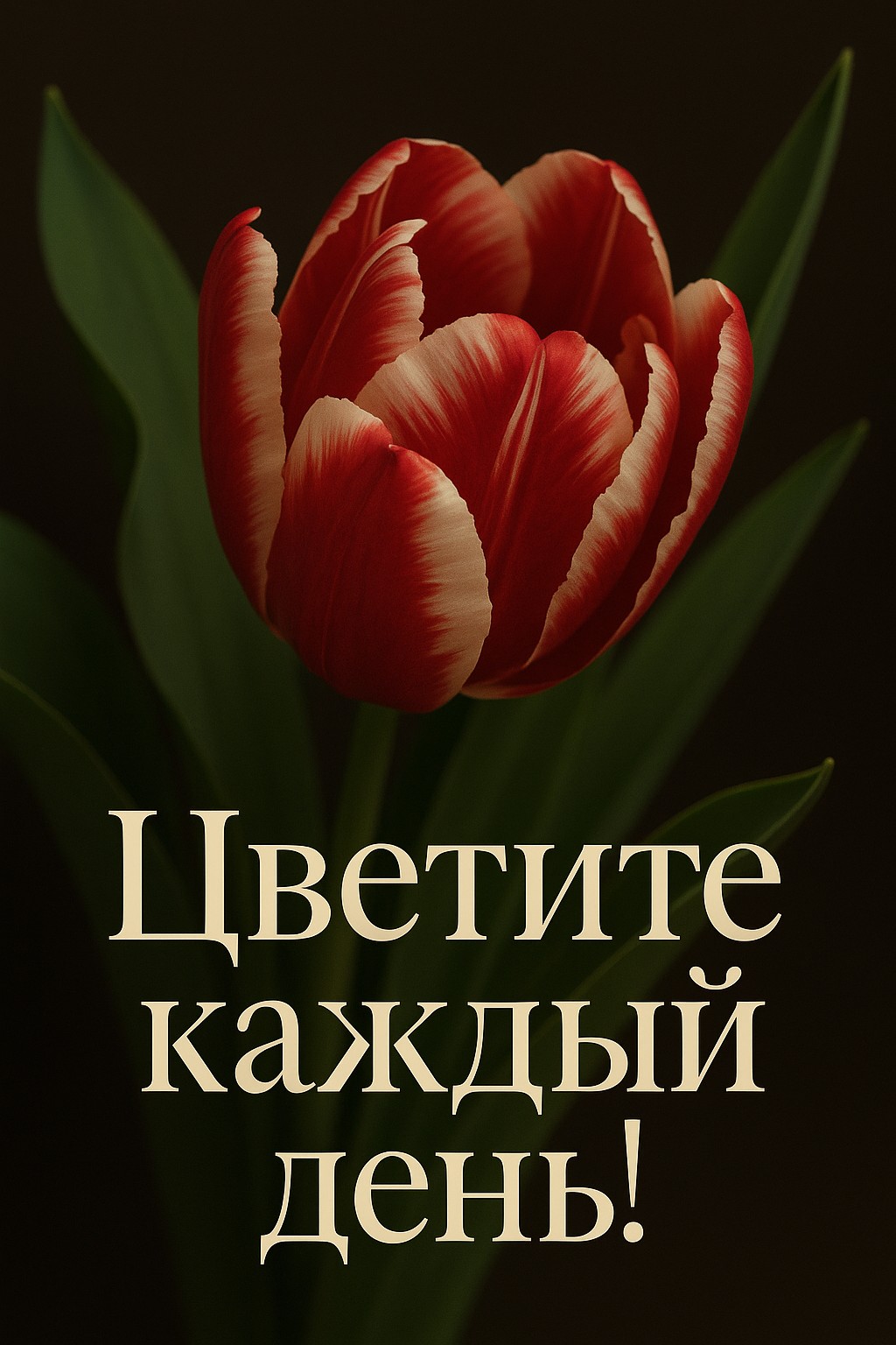 Очаровательная открытка с тюльпанами, которая поднимет настроение и подарит улыбку.
