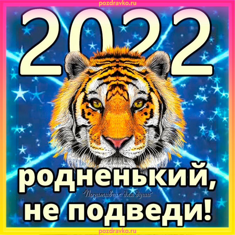 2022 родненький не подведи картинка. Скачать бесплатно или отправить картинку.