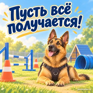 День кинолога МВД — открытка «Пусть всё получается!» с собакой у аккуратного тренировочного инвентаря День кинолога МВД — открытка «Пусть всё получается!» с собакой у аккуратного тренировочного инвентаря