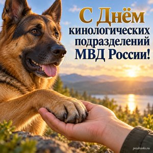 День кинолога МВД — открытка «С Днём кинологических подразделений МВД России!» с лапой собаки в человеческой ладони День кинолога МВД — открытка «С Днём кинологических подразделений МВД России!» с лапой собаки в человеческой ладони