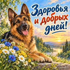 День кинолога МВД — открытка «Здоровья и добрых дней!» с овчаркой и летними цветами День кинолога МВД — открытка «Здоровья и добрых дней!» с овчаркой и летними цветами