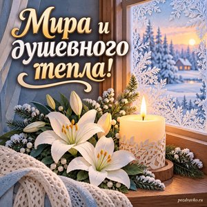 День памяти святой мученицы Татианы — открытка «Мира и душевного тепла!» с горящей свечой, белыми лилиями и морозным окном