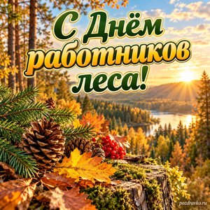 День лесника — открытка «С Днём работников леса!» с лесом в золотом солнечном свете