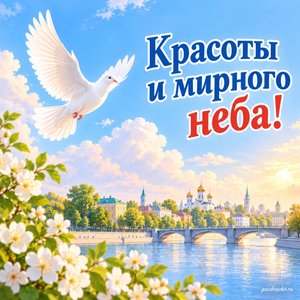 День России — открытка «Красоты и мирного неба!» с белым голубем над спокойным городом