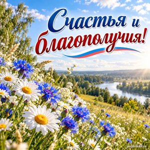 День России — открытка «Счастья и благополучия!» с летним полем ромашек и васильков
