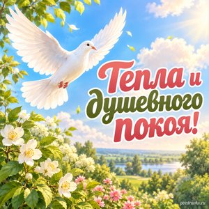 Ильин день — открытка «Тепла и душевного покоя!» с голубем над зелёным садом