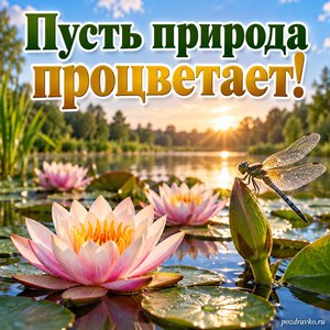 Международный день биологического разнообразия — открытка «Пусть природа процветает!» пруд с кувшинками и стрекозой