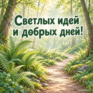 Международный день биологического разнообразия — открытка «Светлых идей и добрых дней!» лесная тропа с папоротниками