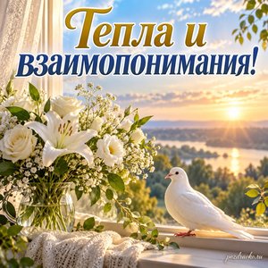 Международный день мира — открытка «Тепла и взаимопонимания!» белые цветы у окна Международный день мира — открытка «Тепла и взаимопонимания!» белые цветы у окна