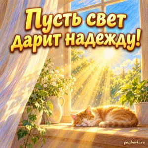 Международный день света — открытка «Пусть свет дарит надежду!» солнечный луч через окно Международный день света — открытка «Пусть свет дарит надежду!» солнечный луч через окно