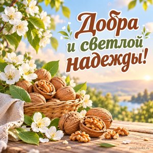 Ореховый Спас — открытка «Добра и светлой надежды!» с грецкими орехами и белыми цветами