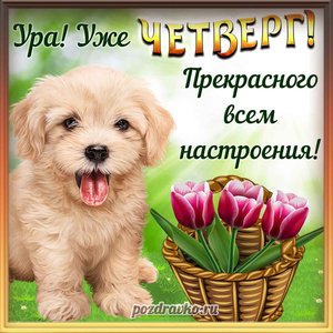Открытка с четвергом и прекрасного настроения