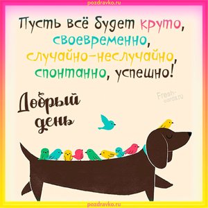 Открытка с добрым днем пусть все будет круто