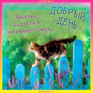 Открытка добрый день веселья радости и искреннего смеха